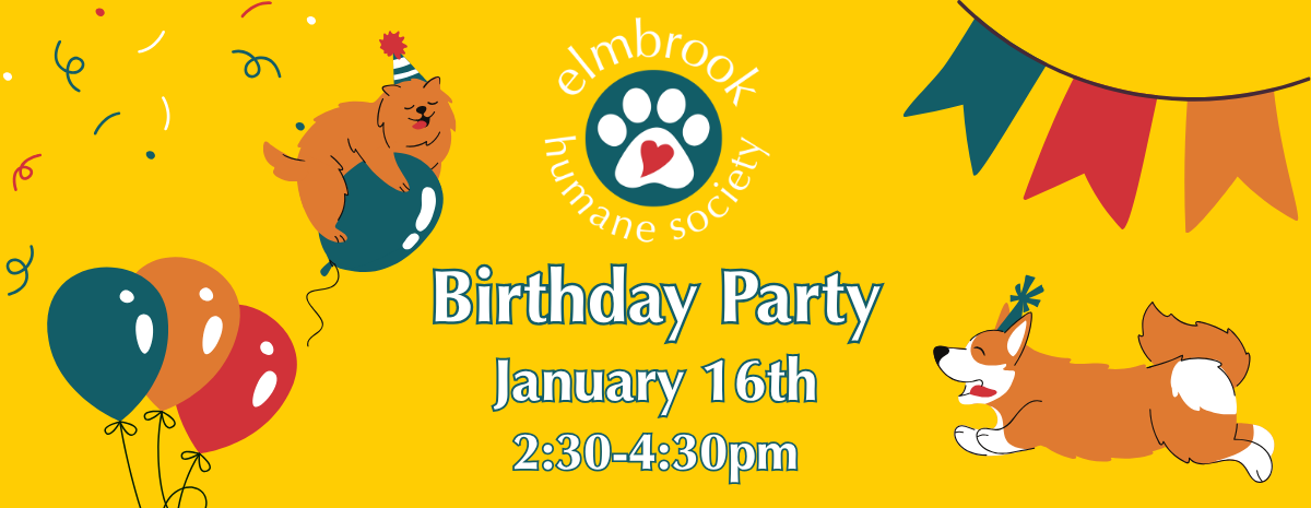 Birthday Party - 01/16/27